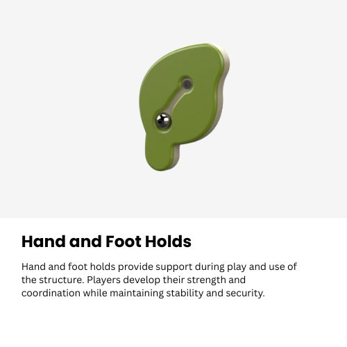 Hand and Foot Holds 991