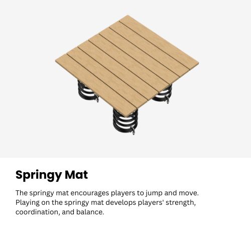 Springy Mat 6.0