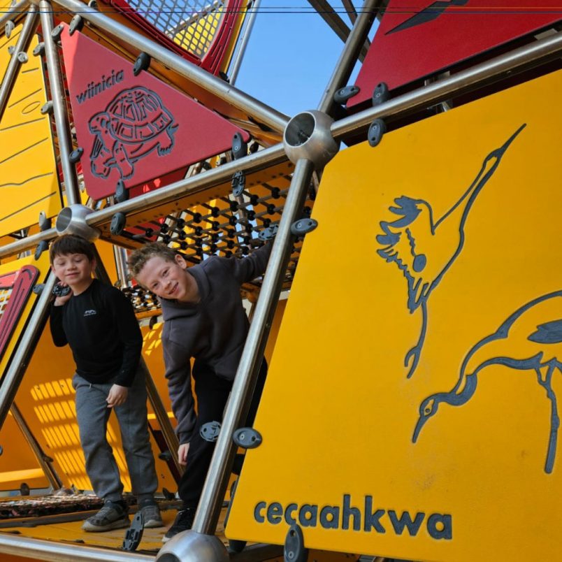 WhatsApp Image 2025-10-18 at 03.39.17_0c266bf8